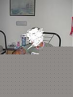 Click image for larger version

Name:	Copia (3) di io sde sul letto.JPG
Views:	152
Size:	28.1 KB
ID:	15860987