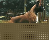 Click image for larger version

Name:	Red%20300x250.jpg
Views:	78
Size:	17.5 KB
ID:	15861014