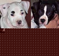 Click image for larger version

Name:	2984727.jpg
Views:	73
Size:	48.2 KB
ID:	15862479