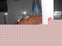 Click image for larger version

Name:	torta anabol.JPG
Views:	242
Size:	94.3 KB
ID:	15862497