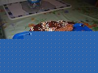 Click image for larger version

Name:	torta anabol1.JPG
Views:	93
Size:	95.1 KB
ID:	15862498