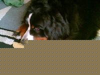 Click image for larger version

Name:	carlotta.jpg
Views:	62
Size:	59.4 KB
ID:	15862835