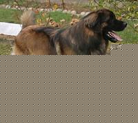 Click image for larger version

Name:	Zac2.jpg
Views:	49
Size:	40.2 KB
ID:	15862836