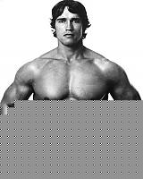 Click image for larger version

Name:	04_arnold_29066.jpg
Views:	57
Size:	28.4 KB
ID:	15863027