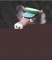 Click image for larger version

Name:	cinghiale.jpg
Views:	59
Size:	24.8 KB
ID:	15863441