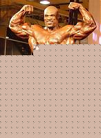 Click image for larger version

Name:	Ronnie_Coleman.JPG
Views:	114
Size:	46.2 KB
ID:	15863627