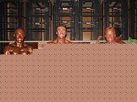 Click image for larger version

Name:	Gli Atleti da sx gli atleti Cristian Di Virgilio, Alessandro Galli e Luca Iacobucci.jpg
Views:	555
Size:	113.8 KB
ID:	15863696