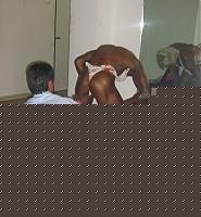 Click image for larger version

Name:	L'Atleta Popa Alina.jpg
Views:	1057
Size:	109.9 KB
ID:	15863763