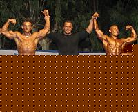 Click image for larger version

Name:	Cat.Athletic Medium Class prem.1.jpg
Views:	920
Size:	164.4 KB
ID:	15863889