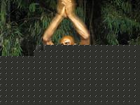 Click image for larger version

Name:	Cat.Athletic Tall Class I°.jpg
Views:	124
Size:	68.6 KB
ID:	15863996