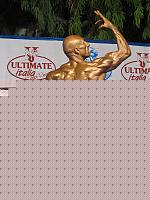 Click image for larger version

Name:	Cat.Athletic Tall Class I°F.jpg
Views:	146
Size:	99.6 KB
ID:	15863999