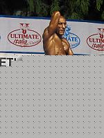 Click image for larger version

Name:	Cat.Athletic Tall Class I°H.jpg
Views:	158
Size:	92.3 KB
ID:	15864001