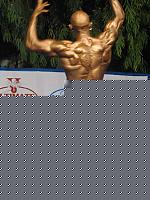 Click image for larger version

Name:	Cat.Athletic Tall Class I°I.jpg
Views:	169
Size:	85.6 KB
ID:	15864002