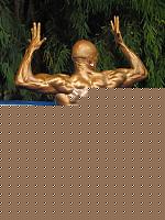 Click image for larger version

Name:	Cat.Athletic Tall Class I°L.jpg
Views:	160
Size:	85.0 KB
ID:	15864003