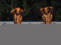 Click image for larger version

Name:	Cat.Athletic Tall Class conf..jpg
Views:	636
Size:	104.8 KB
ID:	15864060