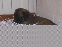Click image for larger version

Name:	hurricane000.jpg
Views:	57
Size:	94.4 KB
ID:	15864095