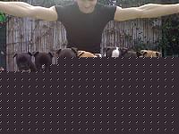 Click image for larger version

Name:	photo_2608938.jpg
Views:	72
Size:	145.3 KB
ID:	15864096