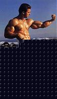 Click image for larger version

Name:	cultur7.jpg
Views:	385
Size:	23.3 KB
ID:	15864595