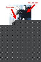Click image for larger version

Name:	sisi.jpg
Views:	97
Size:	47.5 KB
ID:	15864734