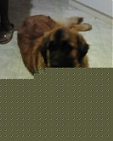 Click image for larger version

Name:	hurri.jpg
Views:	58
Size:	10.5 KB
ID:	15864993