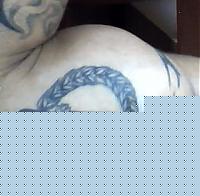 Click image for larger version

Name:	Picture 005.jpg
Views:	53
Size:	22.7 KB
ID:	15866691