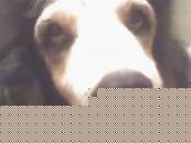 Click image for larger version

Name:	argo.jpg
Views:	122
Size:	3.2 KB
ID:	15866853