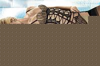 Click image for larger version

Name:	BIG06IP0201.jpg
Views:	99
Size:	116.7 KB
ID:	15867193