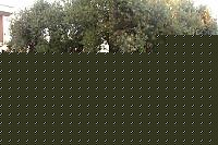 Click image for larger version

Name:	celica_ts_sfondo_modificato.JPG
Views:	59
Size:	105.3 KB
ID:	15867251