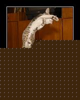 Click image for larger version

Name:	1168702253-shoryukenou0.jpg
Views:	58
Size:	167.1 KB
ID:	15867440