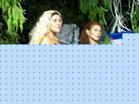 Click image for larger version

Name:	Cat.Miss Fitness conf.D.jpg
Views:	476
Size:	78.7 KB
ID:	15867762