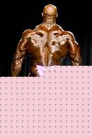 Click image for larger version

Name:	Ronnie Coleman 278.jpg
Views:	86
Size:	11.6 KB
ID:	15867864