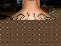 Click image for larger version

Name:	t104g.jpg
Views:	65
Size:	79.3 KB
ID:	15867999