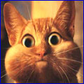 Click image for larger version

Name:	Gatto.jpg
Views:	112
Size:	6.3 KB
ID:	15868128