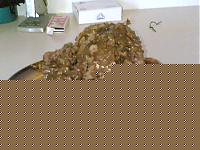 Click image for larger version

Name:	Pancake... Asd asd.jpg
Views:	1675
Size:	117.0 KB
ID:	15868549