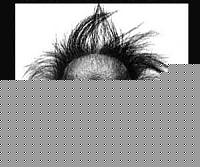 Click image for larger version

Name:	negro06_scimmia.jpg
Views:	49
Size:	13.6 KB
ID:	15868766