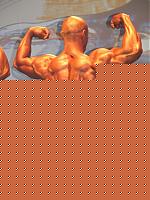 Click image for larger version

Name:	Cat. Master III° Platania Guido (4).JPG
Views:	71
Size:	76.6 KB
ID:	15868896