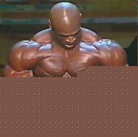 Click image for larger version

Name:	a_ronnie_coleman_wow.jpg
Views:	69
Size:	36.0 KB
ID:	15869038