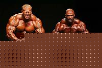 Click image for larger version

Name:	mostmuscej5.jpg
Views:	124
Size:	27.4 KB
ID:	15869077