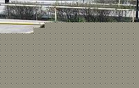 Click image for larger version

Name:	barba che piscia.jpg
Views:	78
Size:	43.6 KB
ID:	15870574