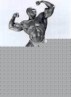 Click image for larger version

Name:	bwolemandbi.jpg
Views:	116
Size:	87.8 KB
ID:	15870619