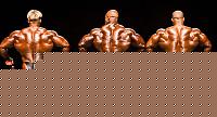 Click image for larger version

Name:	aaaab0564.jpg
Views:	726
Size:	44.6 KB
ID:	15870698