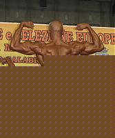 Click image for larger version

Name:	Cat.Over40 HP II° Severino Giuseppe (4).jpg
Views:	95
Size:	215.4 KB
ID:	15870740