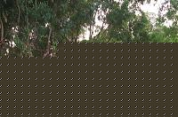 Click image for larger version

Name:	Cat.Miss Over35 conf..jpg
Views:	557
Size:	208.2 KB
ID:	15870919