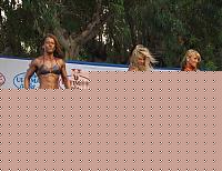 Click image for larger version

Name:	Cat.Miss Over35 conf.A.jpg
Views:	542
Size:	144.9 KB
ID:	15870920