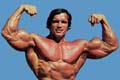 Click image for larger version

Name:	arnold.jpg
Views:	209
Size:	2.6 KB
ID:	15871107