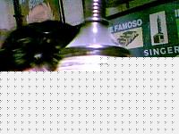 Click image for larger version

Name:	Picture 126.jpg
Views:	90
Size:	52.3 KB
ID:	15871290
