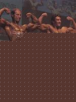 Click image for larger version

Name:	Cat. HP-178  Conf. (21).jpg
Views:	89
Size:	166.3 KB
ID:	15871567