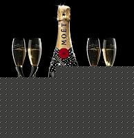 Click image for larger version

Name:	moet_chandon.jpg
Views:	56
Size:	27.3 KB
ID:	15871630