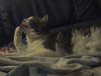 Click image for larger version

Name:	DSC00264.JPG
Views:	84
Size:	148.9 KB
ID:	15871701