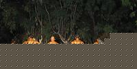 Click image for larger version

Name:	Cat.Tall Class. conf.1.jpg
Views:	759
Size:	128.0 KB
ID:	15871721